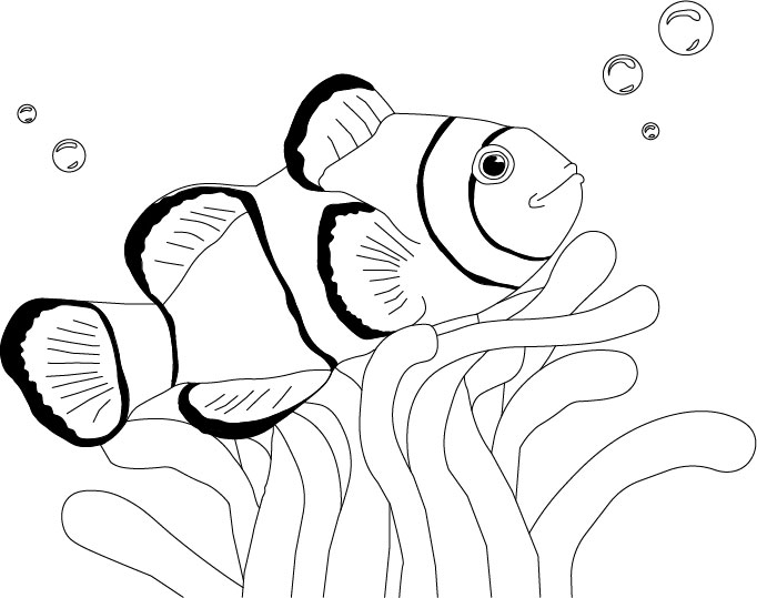 Рыба-клоун - скачать и распечатать раскраску. рыбы