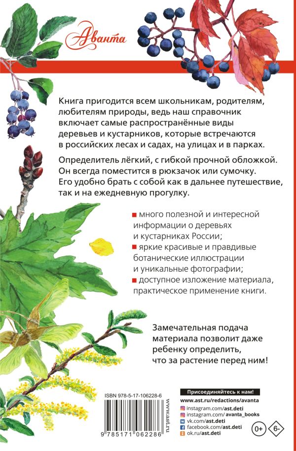Растения России. Лучший определитель
