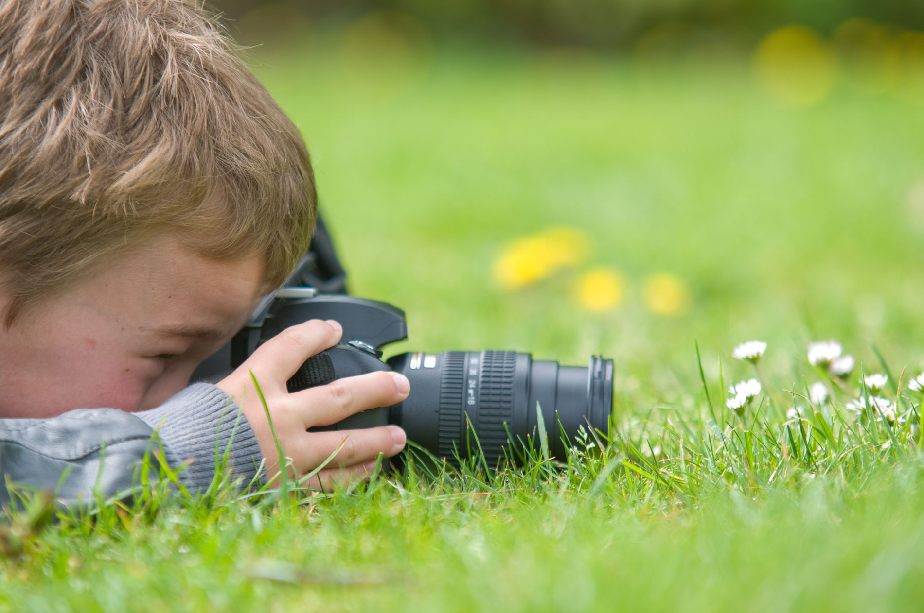 Детская школа фотографии "Юный натуралист"